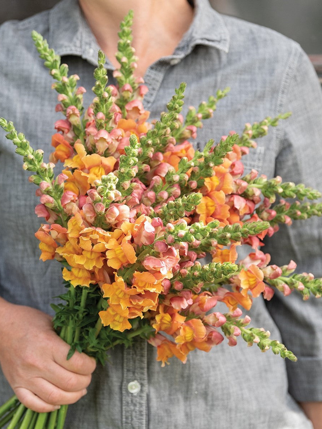 New Botanic Culinary Bouquet Collection