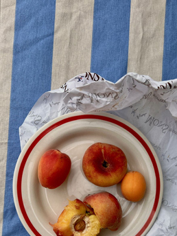 Midnatt Table Cloth Franka Apricot Blue
