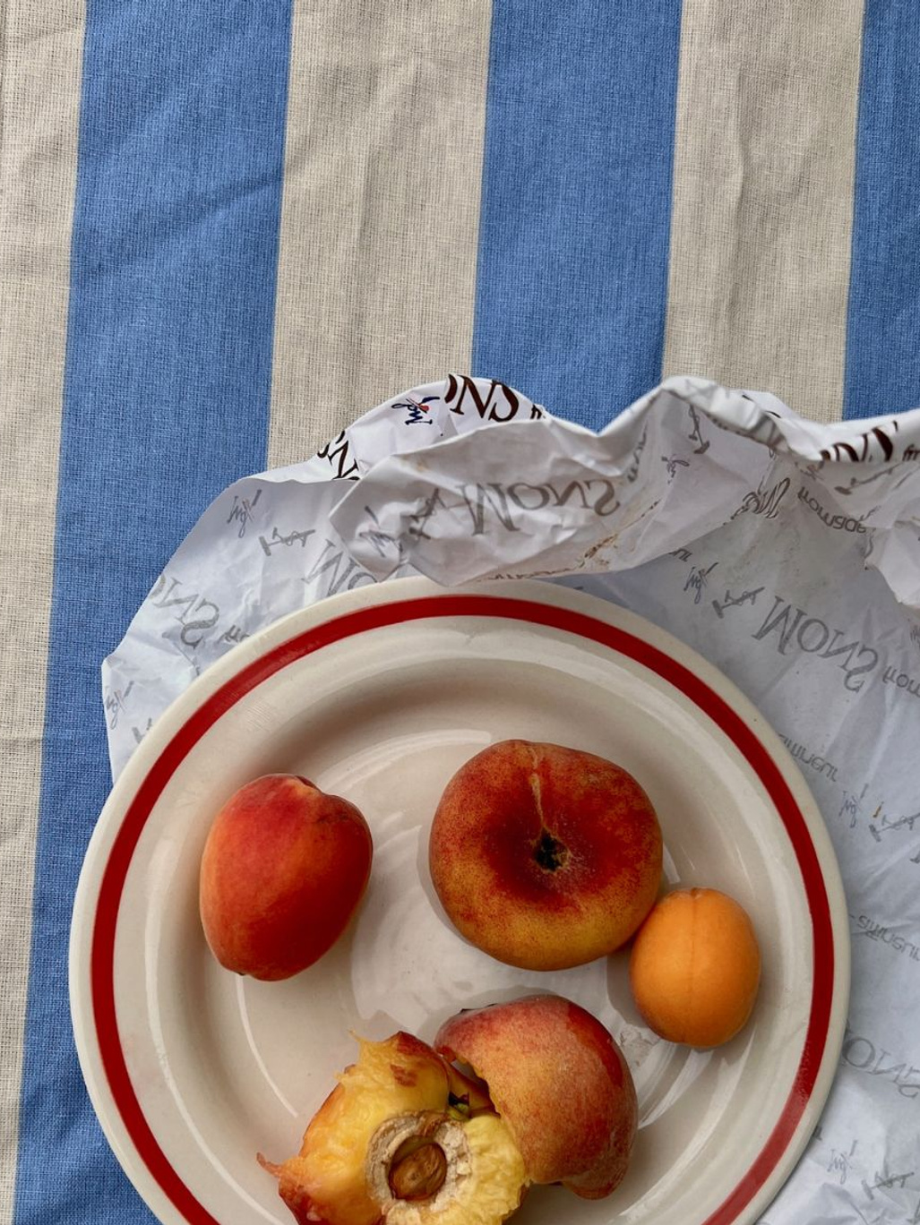 Midnatt Table Cloth Franka Apricot Blue