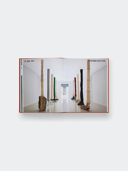 Phaidon Luciano Fabro