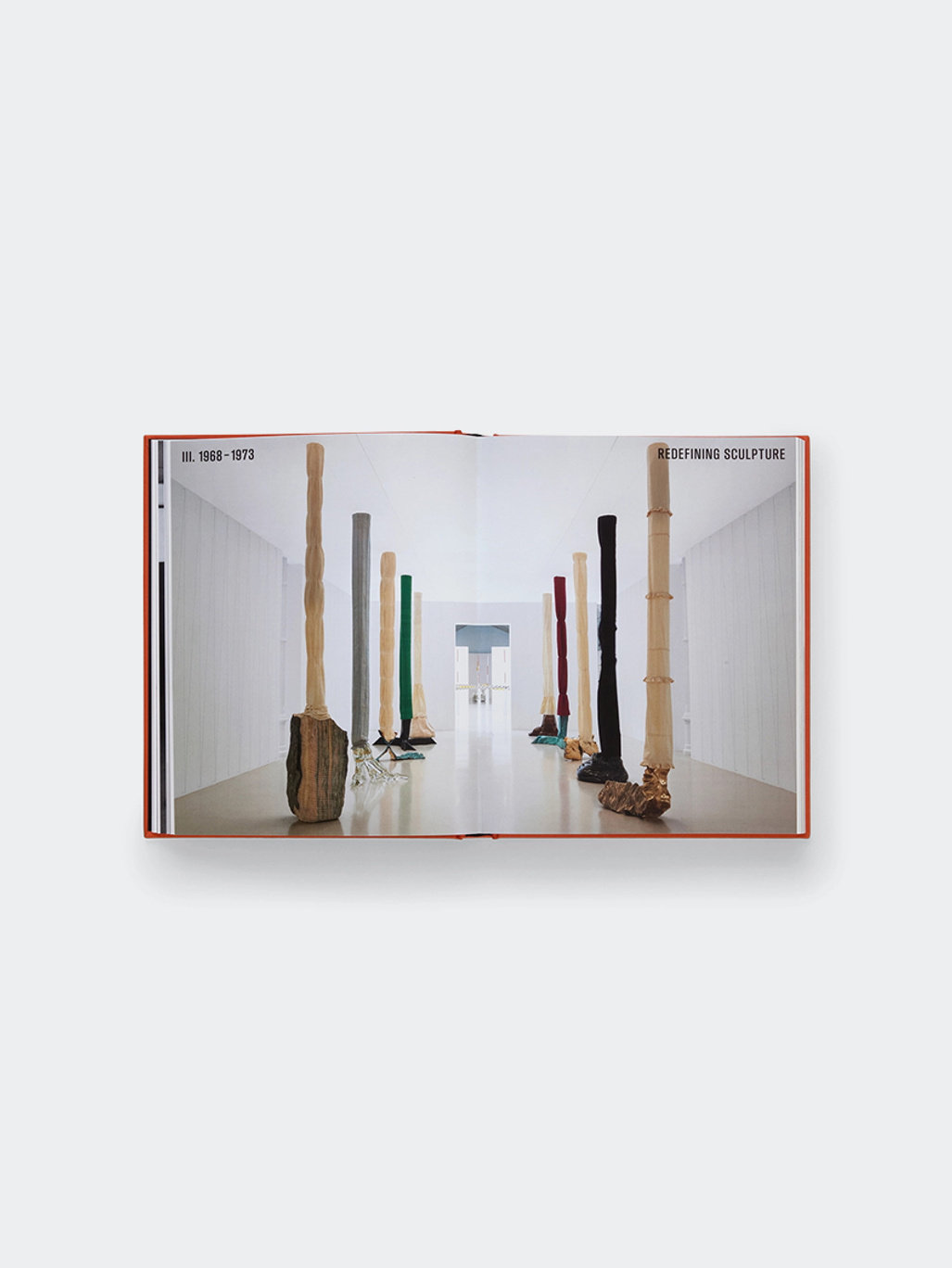 Phaidon Luciano Fabro
