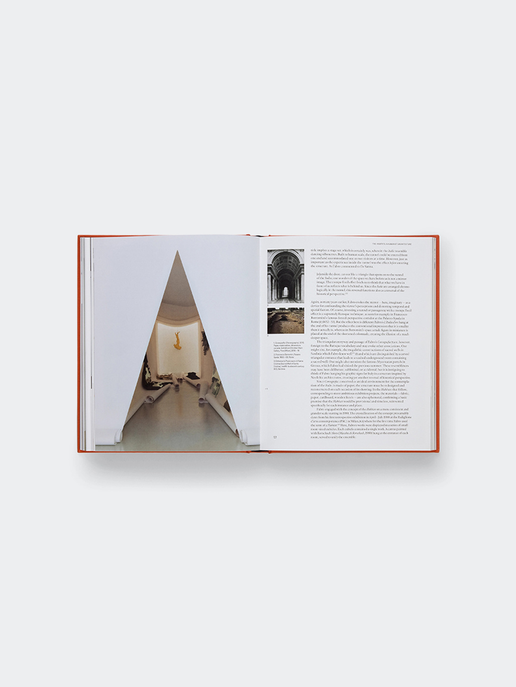 Phaidon Luciano Fabro
