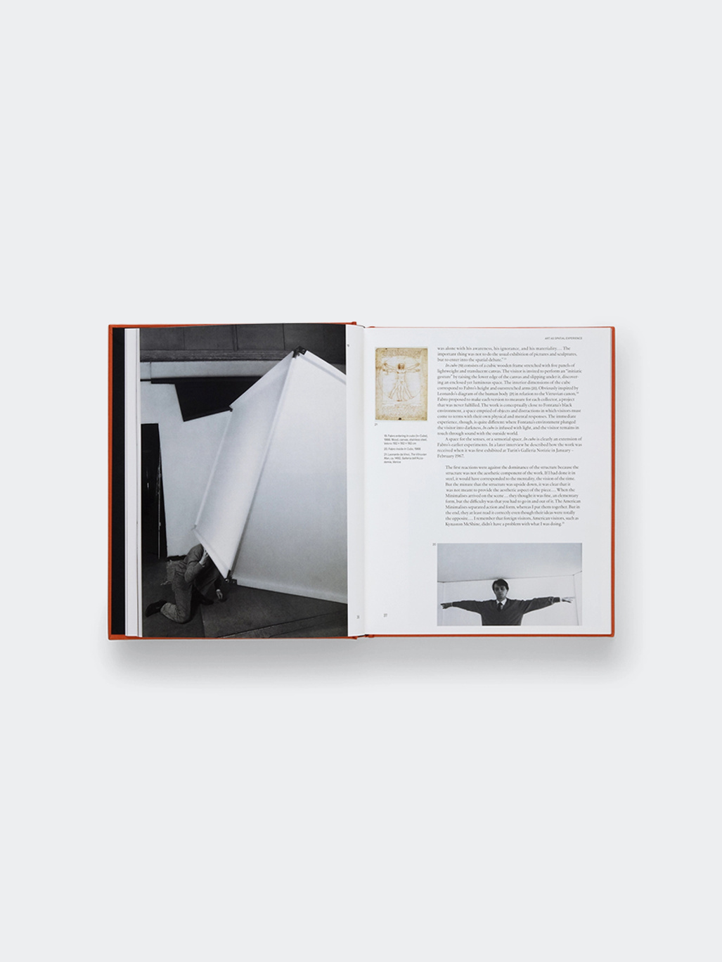 Phaidon Luciano Fabro