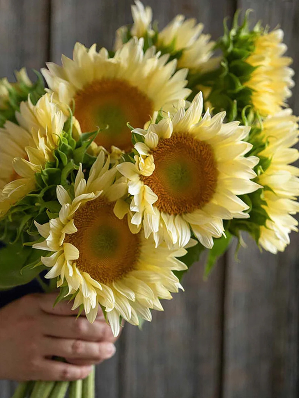 New Botanic Coco Bouquet Collection