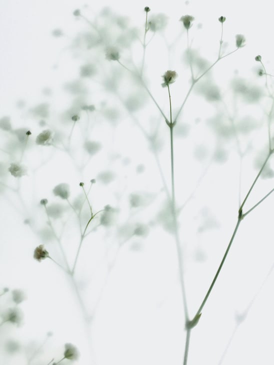 DIFUSE Oil No. 01 Lavender