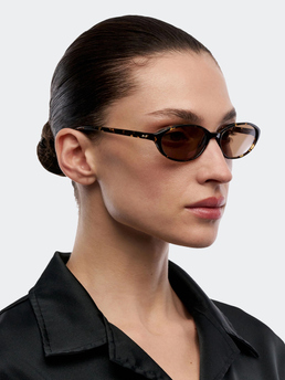 Chimi Ellipse Feral Tortoise