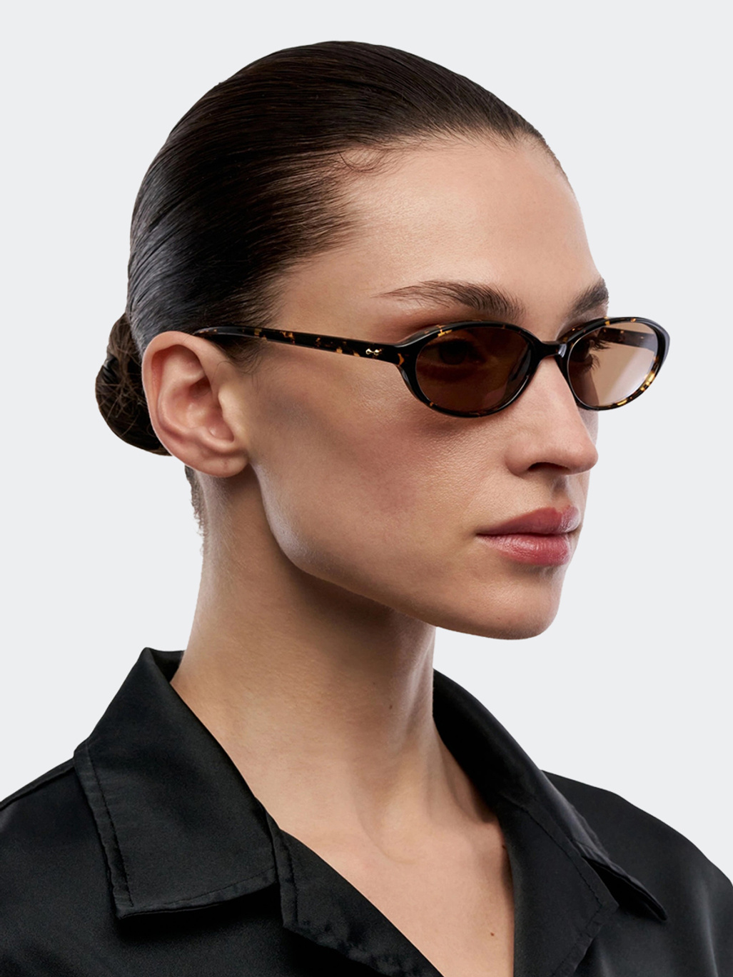 Chimi Ellipse Feral Tortoise