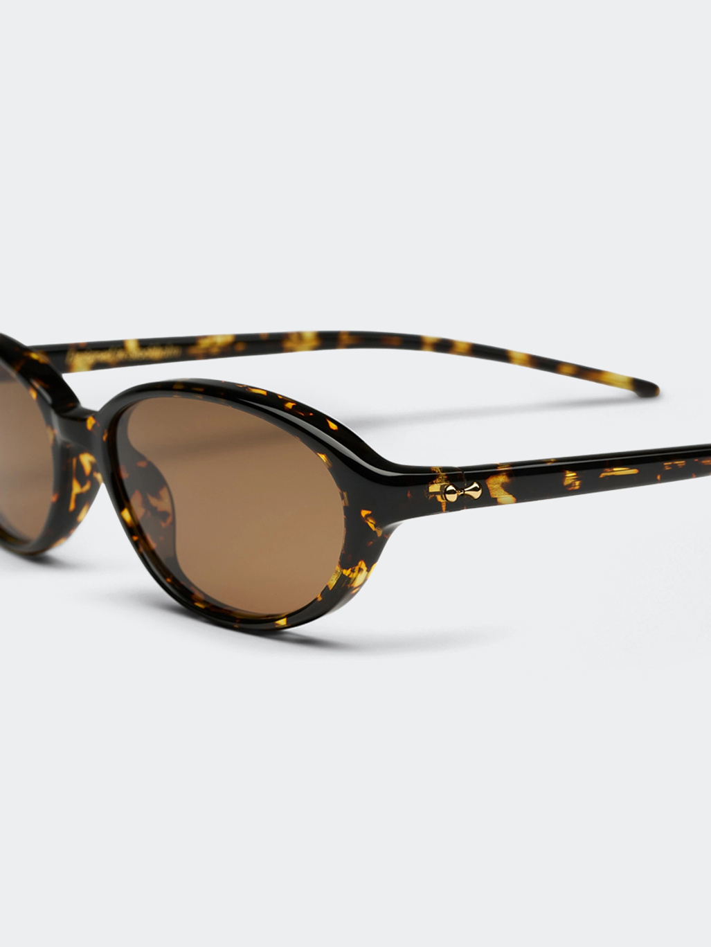 Chimi Ellipse Feral Tortoise