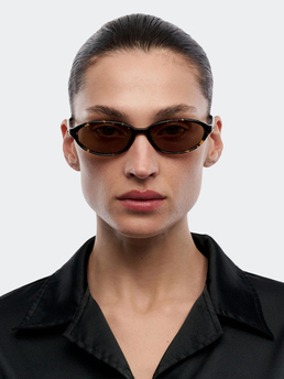 Chimi Ellipse Feral Tortoise