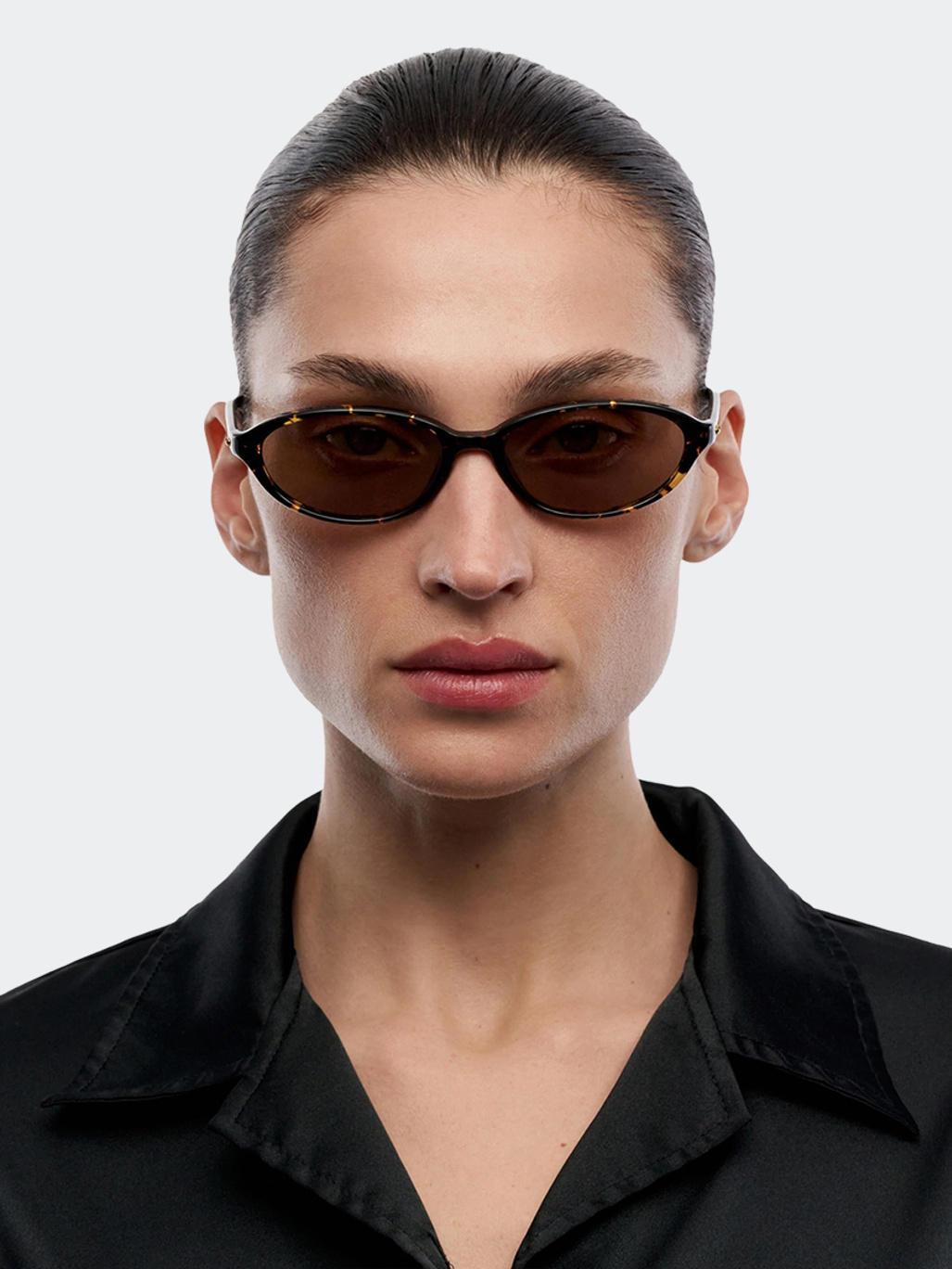 Chimi Ellipse Feral Tortoise