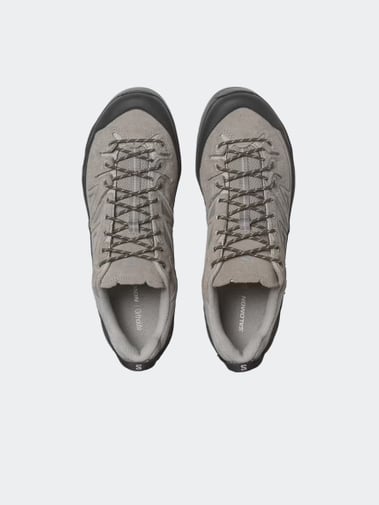 Salomon Shoes X-Alp Ltr Cloudburst/Paloma/Black