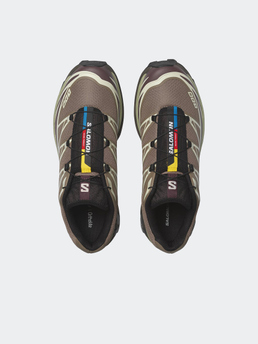 Salomon Shoes Xt-6 Walnut/Huckleberry/Urban Chic