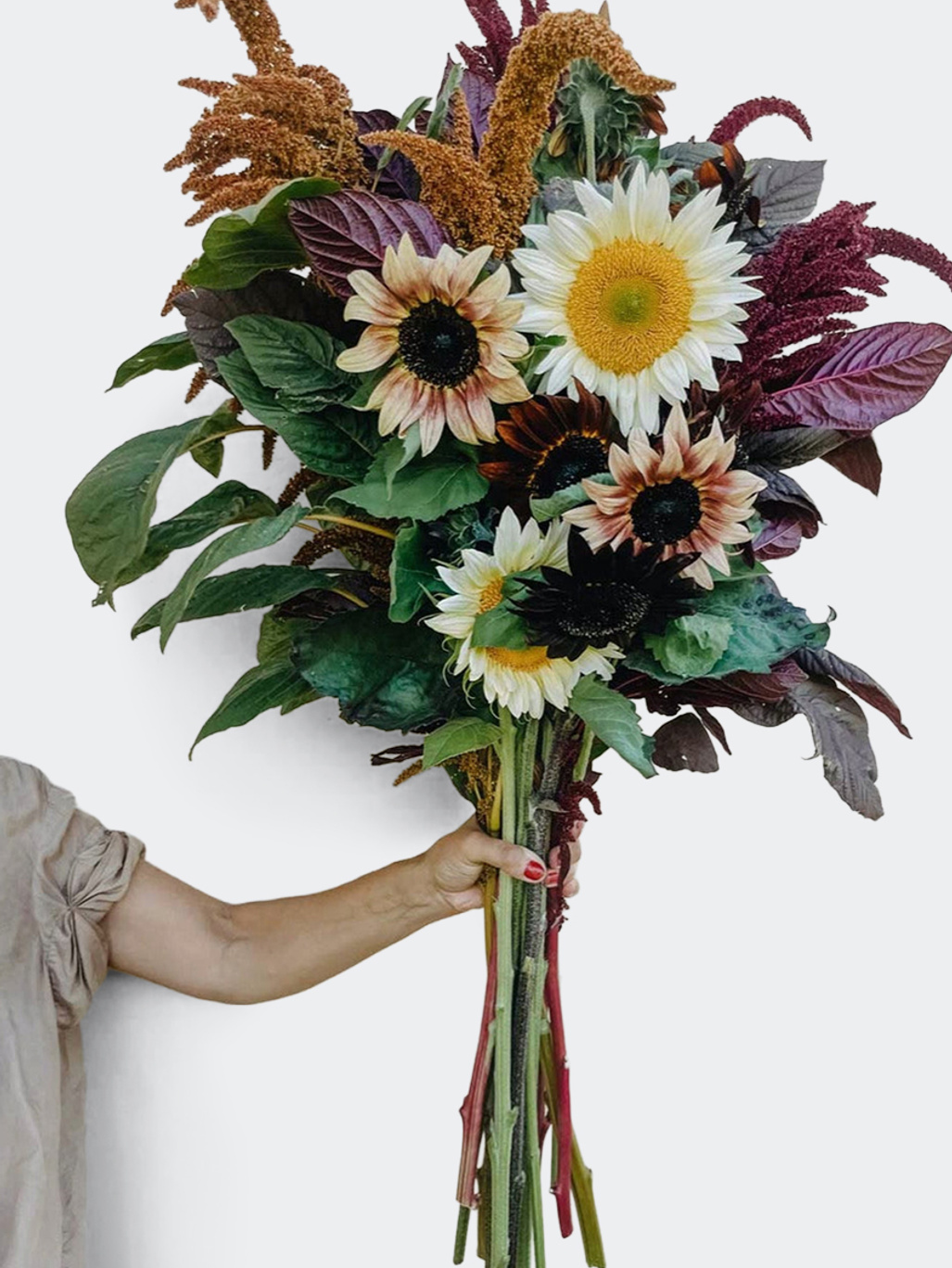 New Botanic Primadonna Flower Collection