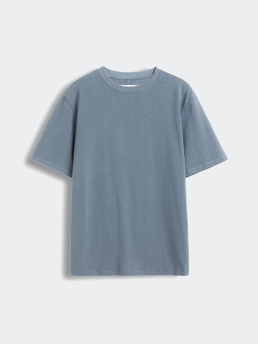 Brixtol Textiles Bt T-Shirt Washed Dusty Blue
